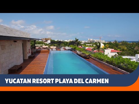 Videos del The Yucatan Resort 5★ en Playa del Carmen, MéxicoVerPrecios14CerrarConsulta por Whatsapp 🇦🇷BookingTripadvisorExpediaTravelocityOrbitzTripSkyscannerDespegarKayakHotelesBestdayTrivagoLastminuteTui