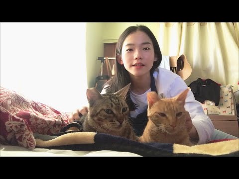 아이콘