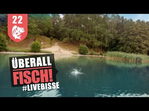 Hol's Stöckchen: Mit STICKBAITS auf BARSCH
