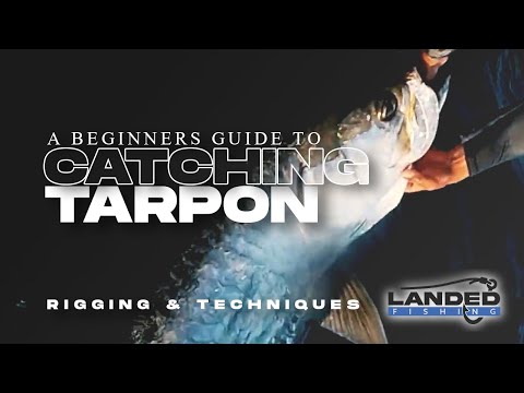 Fishing Adult Tarpon on YouTube