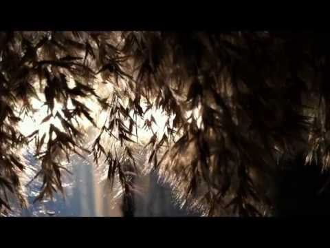 Abstract Verses  King Me (ft Mic Stew)