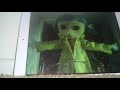 Coraline Part 1