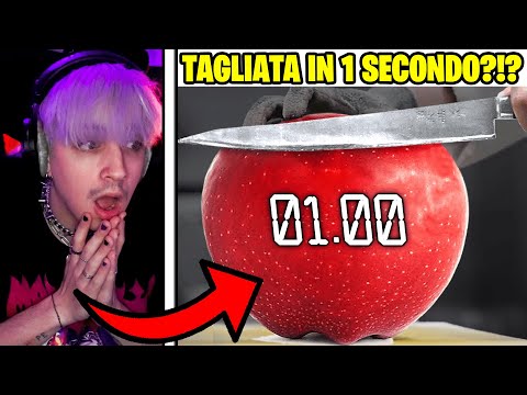 I LAVORATORI PIÙ VELOCI DEL MONDO!!