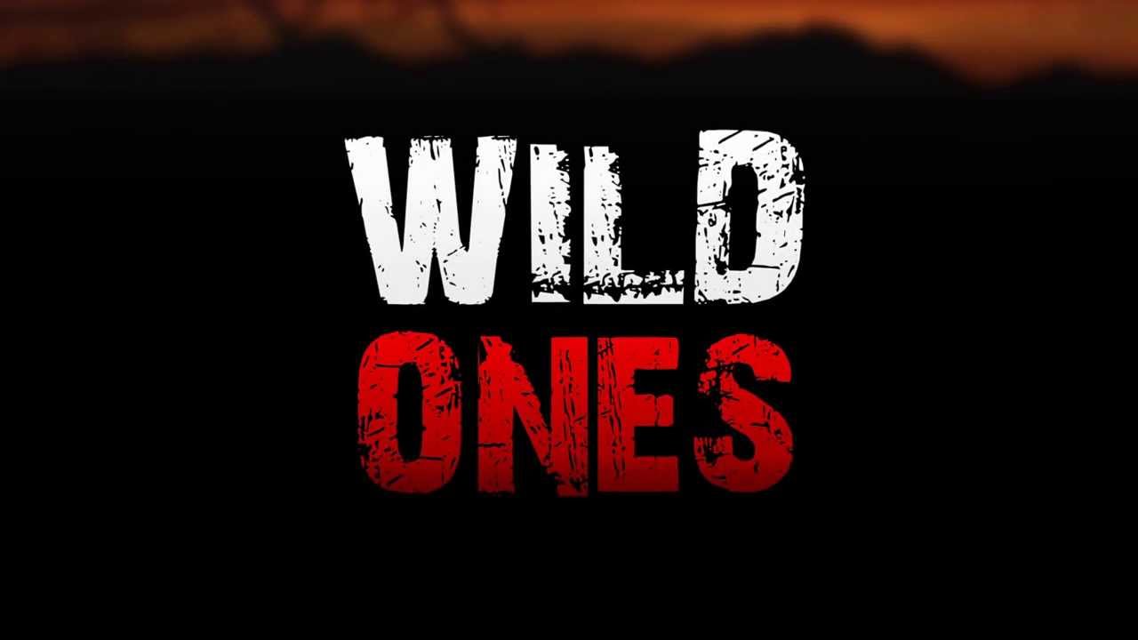 Wild Ones - Appetizer