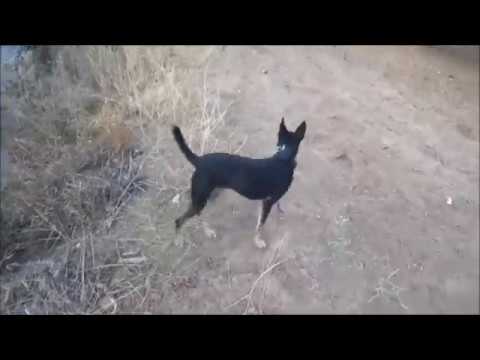 Marcos,Tachenko y los jovencitos Aelio y Máximo de la Cora Rayya