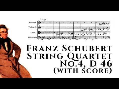 Franz Schubert - String Quartet No.4, D 46 (with score)