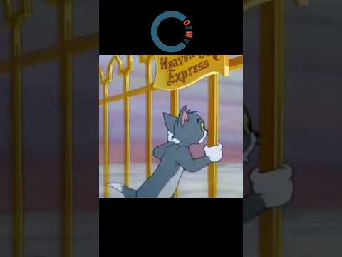 ტომი და ჯერი, საინტერესო დეტალი.  #კამეო