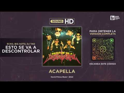 ECKO, Big Soto, DJ Tao - Esto Se Va A Descontrolar 🎙️ ACAPELLA (By David Prince Music)