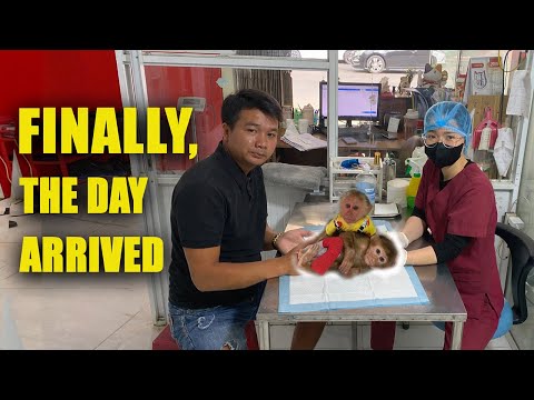 “That Day Has Come… But Not In The Way We Thought It Would.”