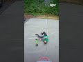 So Much Panic In So Little Time Afv Funny Shorts
