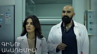 Գինեգործ Հայաստան. Գինու ակադեմիա