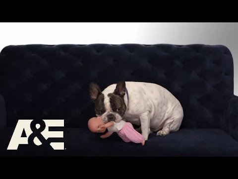 Donnie Loves Jenny: To Baby or Not to Baby - Episode 8 Preview | A&E