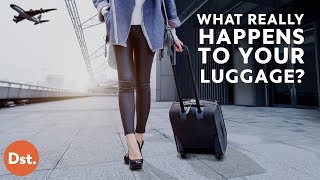 This is What REALLY Happens to Your Luggage!