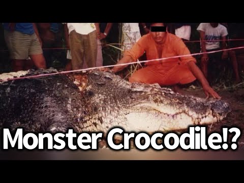 Giant Crocodile Found in Malaysia, New Record