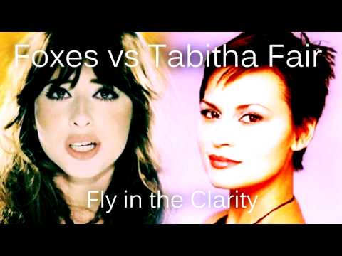 Foxes vs Tabitha Fair - Fly in the Clarity