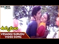 Udyamam Movie Vesangi Surudu Vachhadu Video Song Bhanu Chander Yamuna Shalimarcinema