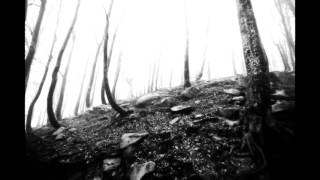 Clan of Xymox - November