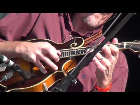 THE BOXCARS - SHUCKING THE CORN live 2013