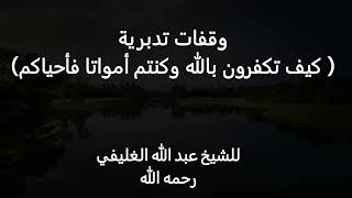 وقفات تدبرية (كيف تكفرون بالله وكنتم أمواتا فأحياكم ) image