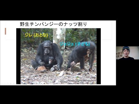 最も初期の霊長類でさえつがいで生活していました