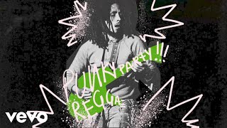 Bob Marley &amp; The Wailers - Punky Reggae Party (Visualizer)