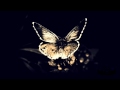 Bassnectar - Butterfly (feat. Mimi Page) 