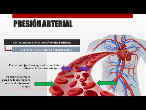 Risque 2 hypertension Préparation pour stabiliser la tension artérielle
