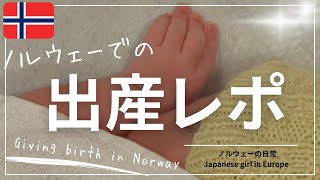 ノルウェーでの出産レポから学ぶ北欧の文化