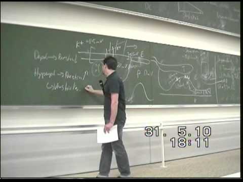 Physiologietutorium 8 - Ohr