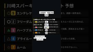 競馬予想　結果　川崎スパーキングスプリント