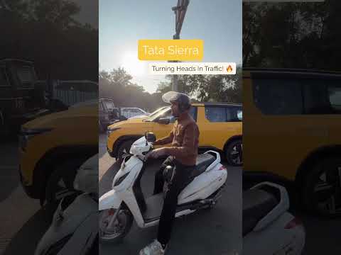 Does Yellow Work on Sierra? | Public Reactions