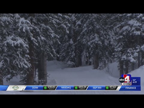 11-year-old girl killed in avalanche near Brighton Ski Resort identified