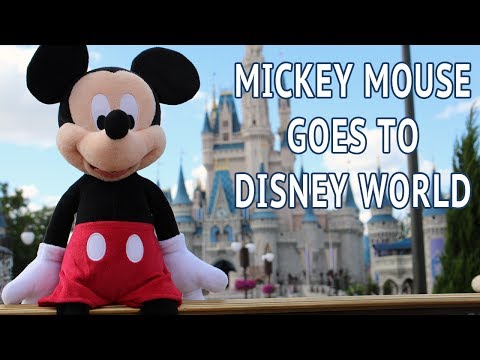 Plush Mickey Mouse Goes to Disney World Review