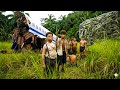 50 Bacho Ne Plane Crash Se Bachkar Ki Jung Ki Tyari 2026 Movie Explained In Hindi Urdu