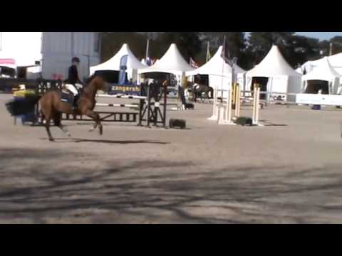 7years  Casall - Quinar