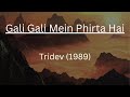 Gali Gali Mein Phirta Hai | Tridev | Alka Yagnik | Manhar Udhas | Anand Bakshi | Kalyanji Anandji