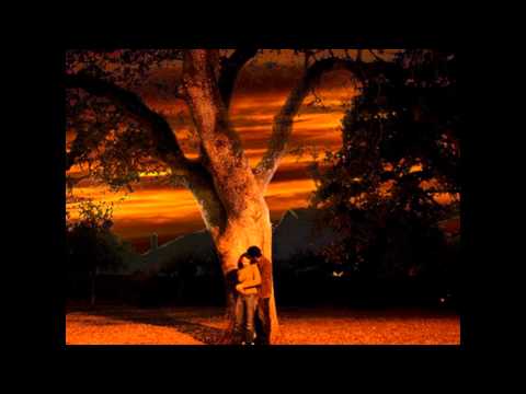 somebody's me by myrkiss