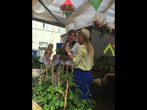 Tamara music studio - репортаж 1 балтийский музыкальный