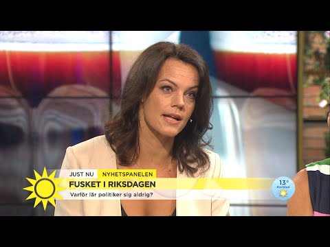 Fusket i riksdagen – "Ingen stor politisk skandal" - Nyhetsmorgon (TV4)