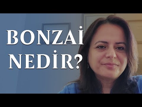 Bilge Burçak Annagür-10