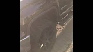 2014-18 GMC Sierra Silverado 5.3L L83 fuel injector replacement