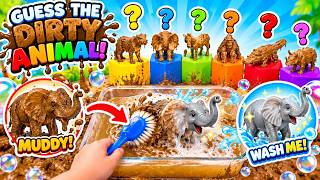 Guess the Colour &amp; Muddy Animal! 🐘🐯🫧  Wash the Animals Clean for Kids