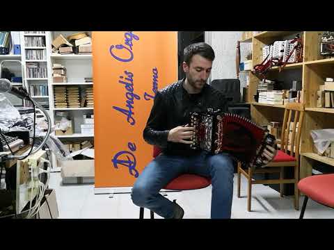 Maestro Andrea Aloisi brano  Gabbiano - organetto tastiera veloce a 3 registri.