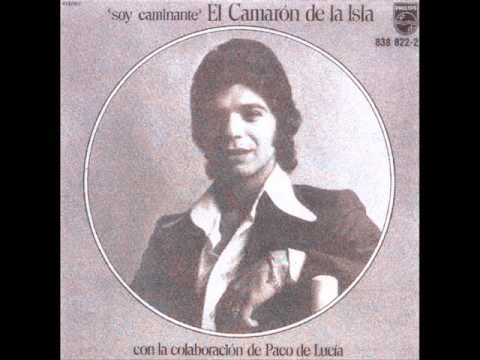 QUE DESGRACIAITOS SON ***** CAMARON DE LA ISLA