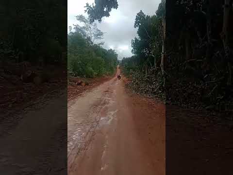 trajeto da BR 101 a cajuita Bahia #fypシ #cajuita #guaratinga #bahia