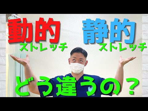 静的について詳しく解説