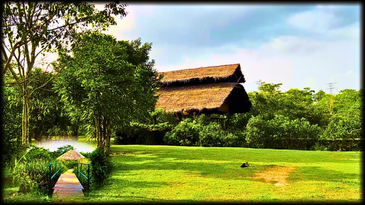 Experience a beautiful glimpse of Diyasaru Park.