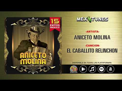Aniceto Molina - 15 Exitos Inmortales (Disco Completo)