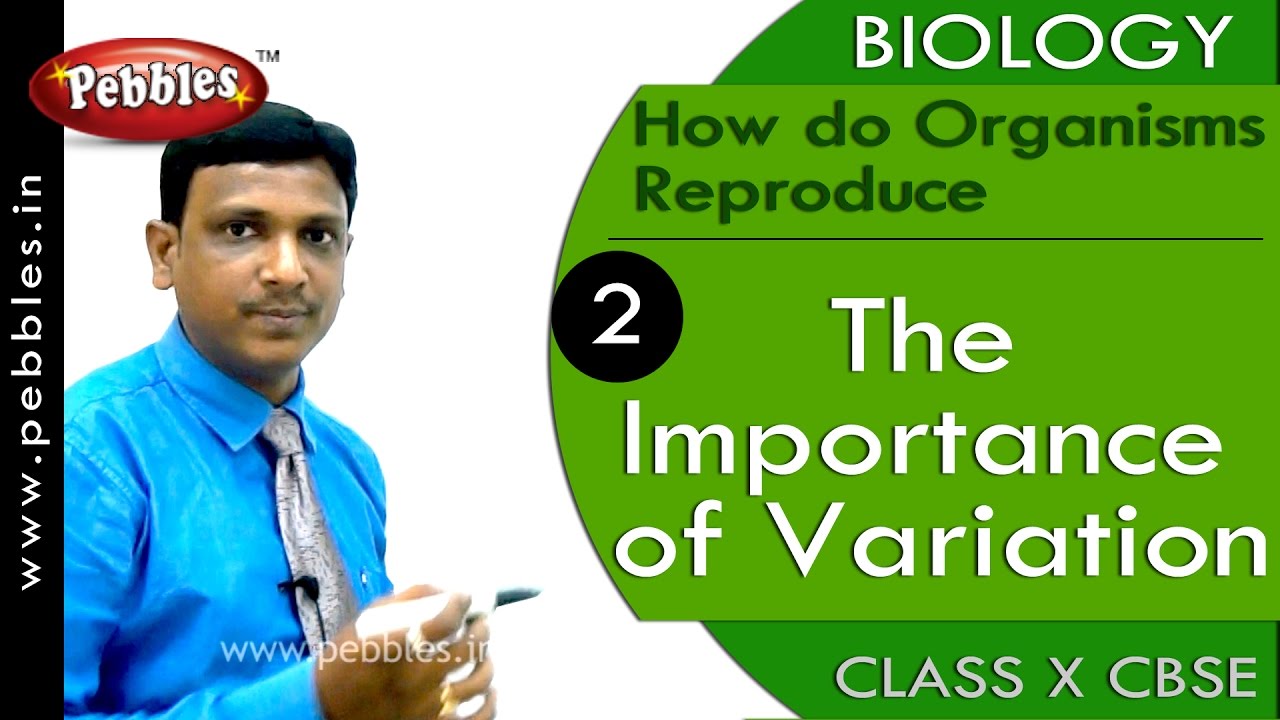 The Importance of Variation |How do Organisms Reproduce |Biology |CBSE Class 10 Science