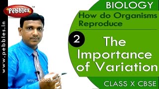 The Importance of Variation |How do Organisms Reproduce |Biology |CBSE Class 10 Science